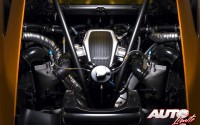 McLaren MP4-12C Can-Am Edition – Técnicas