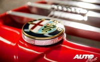 09_Alfa-Romeo-by-Harrison-Custom-Guitars