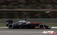 10_Fernando-Alonso_GP-Bahrein-2015