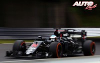 13_Fernando-Alonso_GP-Japon-2016
