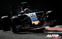 Carlos Sainz Jr, al volante del Toro Rosso-Ferrari STR11, durante el GP de Abu Dhabi 2016, disputado en el circuito de Yas Marina y puntuable para el Campeonato del Mundo de Fórmula 1.