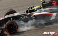 Esteban Gutiérrez, al volante del Sauber-Ferrari C32, durante el GP de Malasia 2013, disputado en el circuito de Sepang y puntuable para el Campeonato del Mundo de Fórmula 1.
