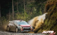 Kris Meeke, al volante del Citroën C3 WRC, durante el Rally de Gran Bretaña 2017, puntuable para el Campeonato del Mundo de Rallies WRC.