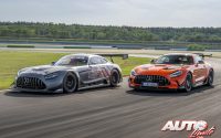 Mercedes-AMG GT Black Series / Mercedes-AMG GT3 (2020)